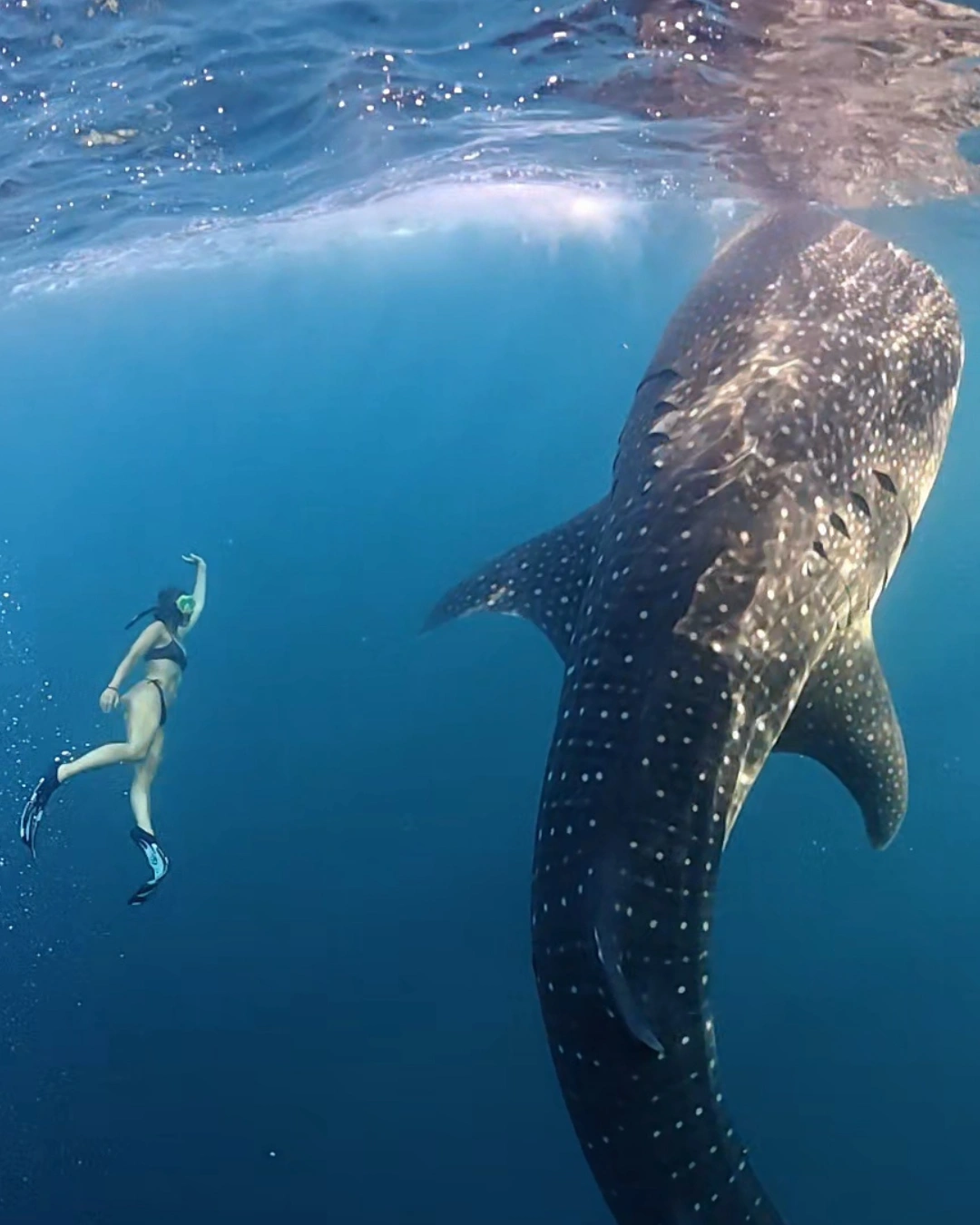 Hendri Lombok Expedition Photo