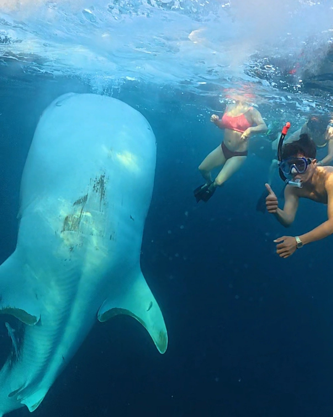 Hendri Lombok Expedition Photo
