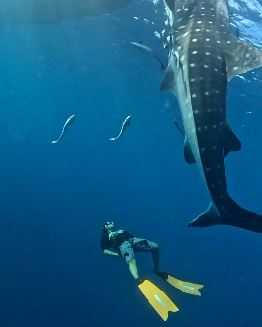 Hendri Lombok Expedition Photo