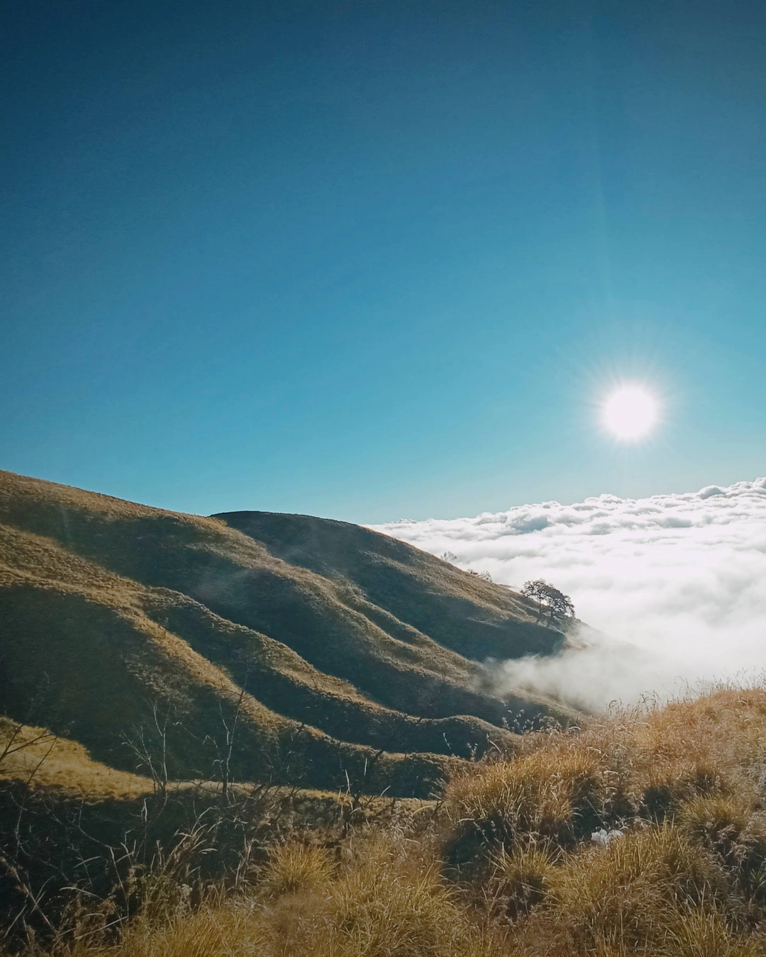 Hendri Lombok Expedition Photo