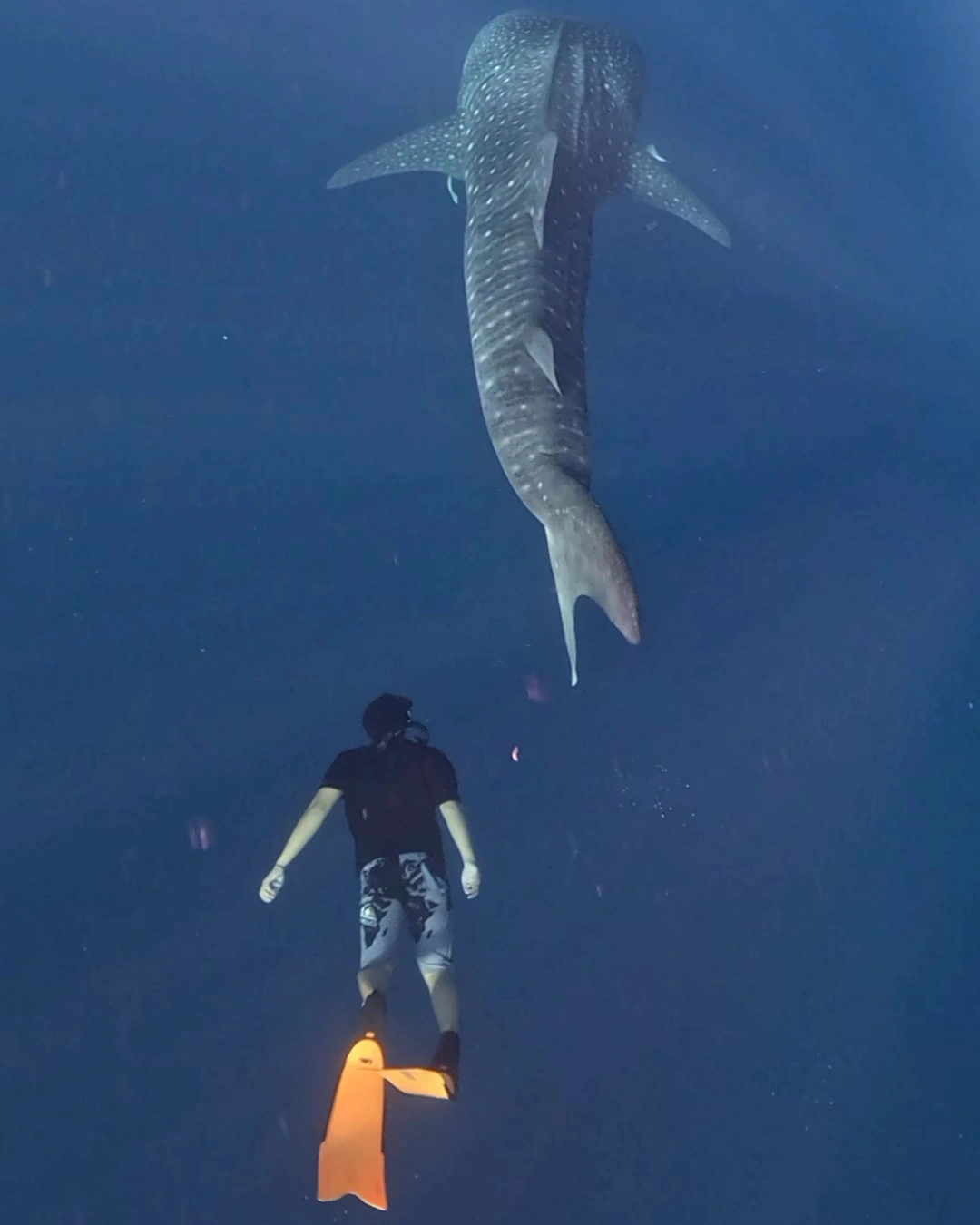 Hendri Lombok Expedition Photo