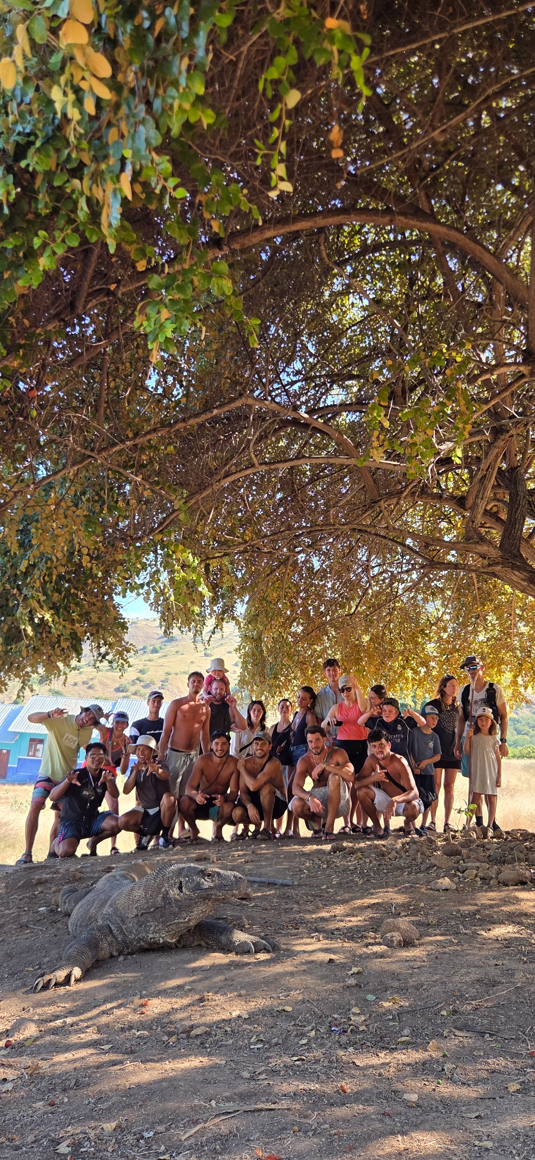 4D3N Lombok to Labuan Bajo Liveaboard - Luxury Phinisi Komodo Tour